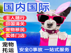 鸡西空运公司国际宠物托运 【国